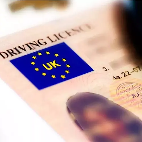 International Driving License